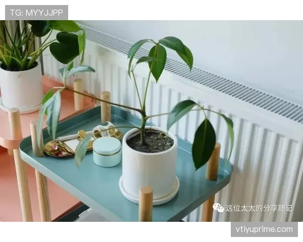 掌敏洁晒家居照也太奢了吧，茶几上的账单像我一年工资